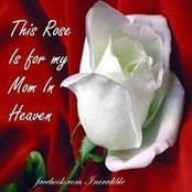 Senait Teshale's photo