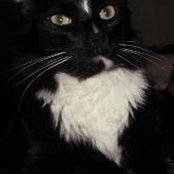 Rita Reynolds's photo