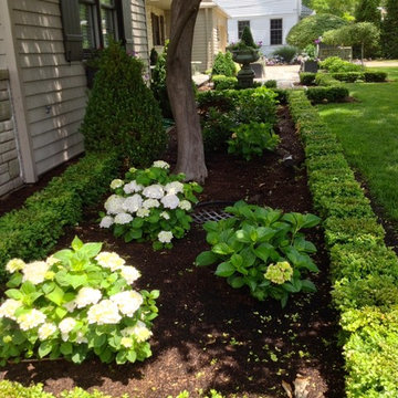 Softscapes and Gardens