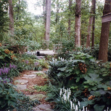 Woodland Garden