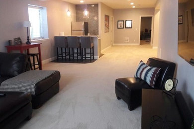 Example of a basement design in Denver