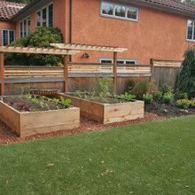 Veggie Garden