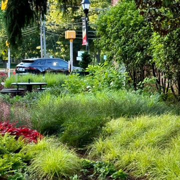 Veterans Memorial Park, Davidson, NC
