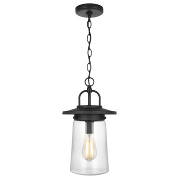 Sea Gull Lighting Tybee 1-Light Outdoor Pendant, Black/Clear, 6208901-12