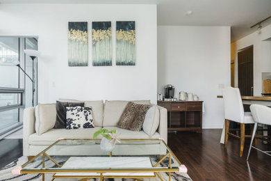 Example of a minimalist living room design in Toronto