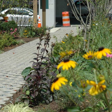 Philadelphia Community Farm