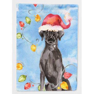 Ck2505Chf Christmas Lights Black Labrador Retriever Flag Canvas House Size
