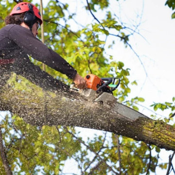 Tree Service