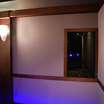 Contemporary Home Theater