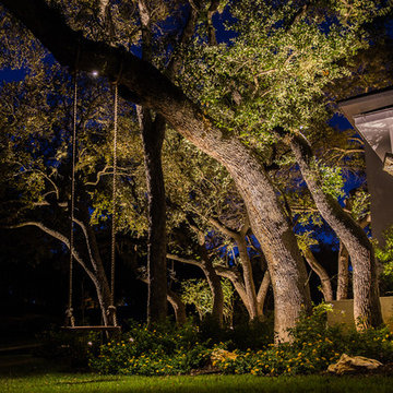 Captive Lighting