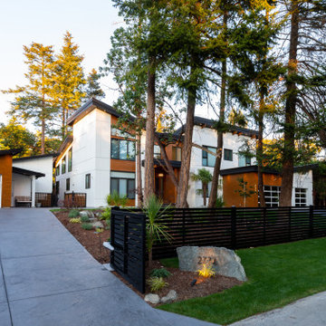 McColl Modern