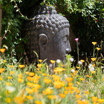 Un jardin en ville ...