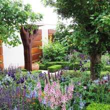 Garden Ideas