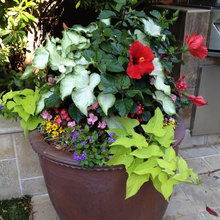 New Landscaping