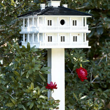 Landscape Ideas