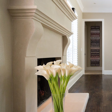 Modified Cambridge Cast Stone Fireplace Installation