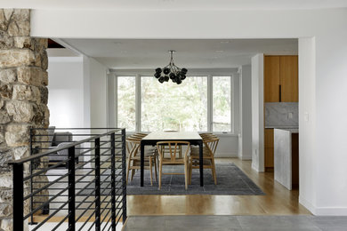 Dining room - mid-century modern dining room idea in New York