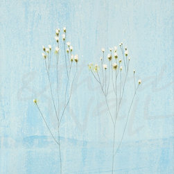 FLORAL & GARDEN - Products