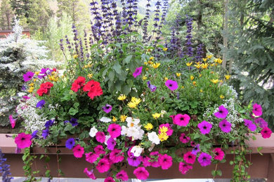 Design ideas for a small rustic landscaping in Denver.