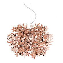 Lampen
