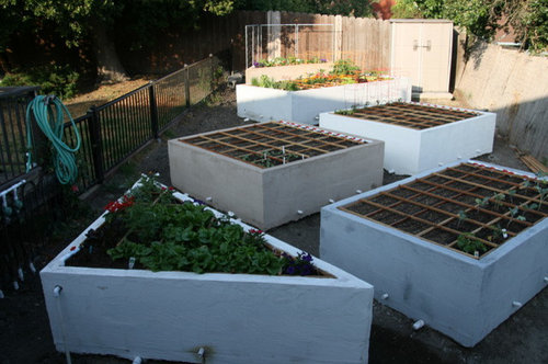 My new raised beds for Square Foot Gardening