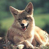 Jim Ruddock's photo