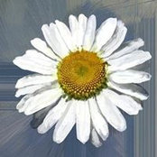 Foto von نهى راضي