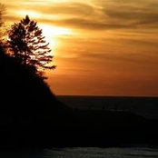 Foto von Diane Hunt
