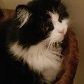 Ramona Wagner's photo