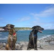 Bethany Stephenson's photo