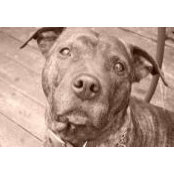 Christine Maconnell's photo