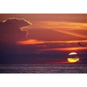 Donna Hartt's photo