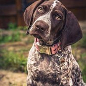 Carmen Throop's photo