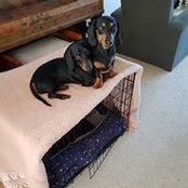 Jane Ansell's photo