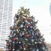 Jamie Dalferes's photo