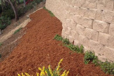 Design ideas for a mid-sized traditional full sun backyard landscaping in San Diego.