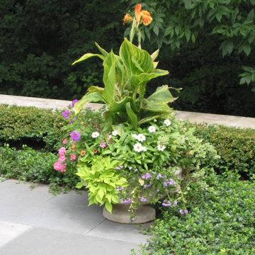 Container Pot Gardens