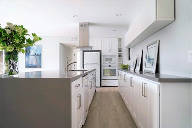 Kitchen - contemporary kitchen idea in San Diego