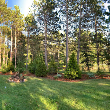 Instant Forest in Wisconsin
