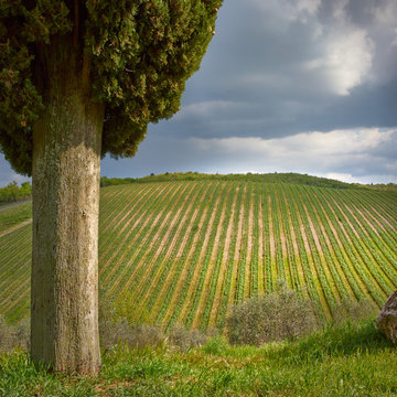 Agriturismo in Toscana