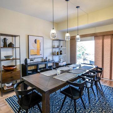 Mid Century Modern Remodel
