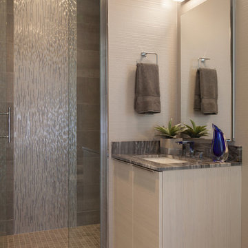 Penthouse Millennium towers