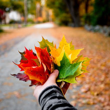 Festive for Fall