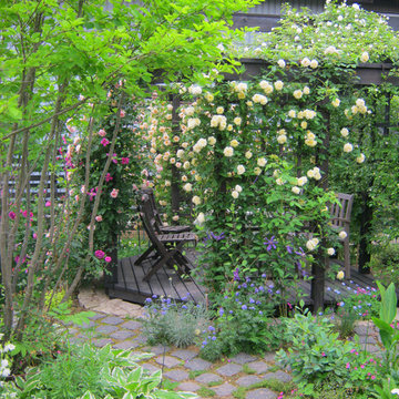 Rose Garden