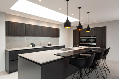This is an example of a modern kitchen in Other.