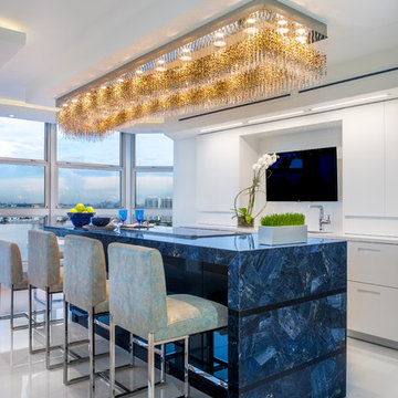 Ultra-Contemporary Miami kitchen