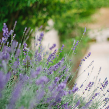 Vintage chic Masseria