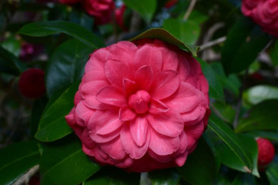 Photo of a landscaping.