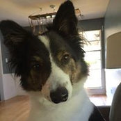 Tracy Cutino's photo