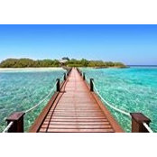 Ramy Morgan's photo